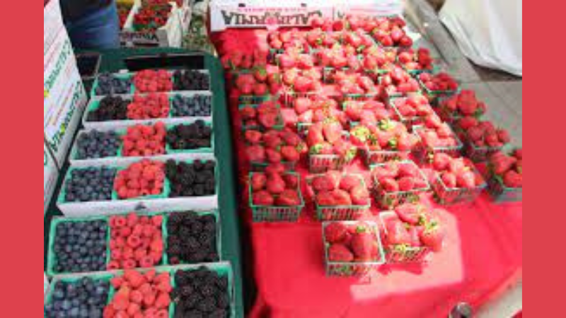 Strawberry Festival