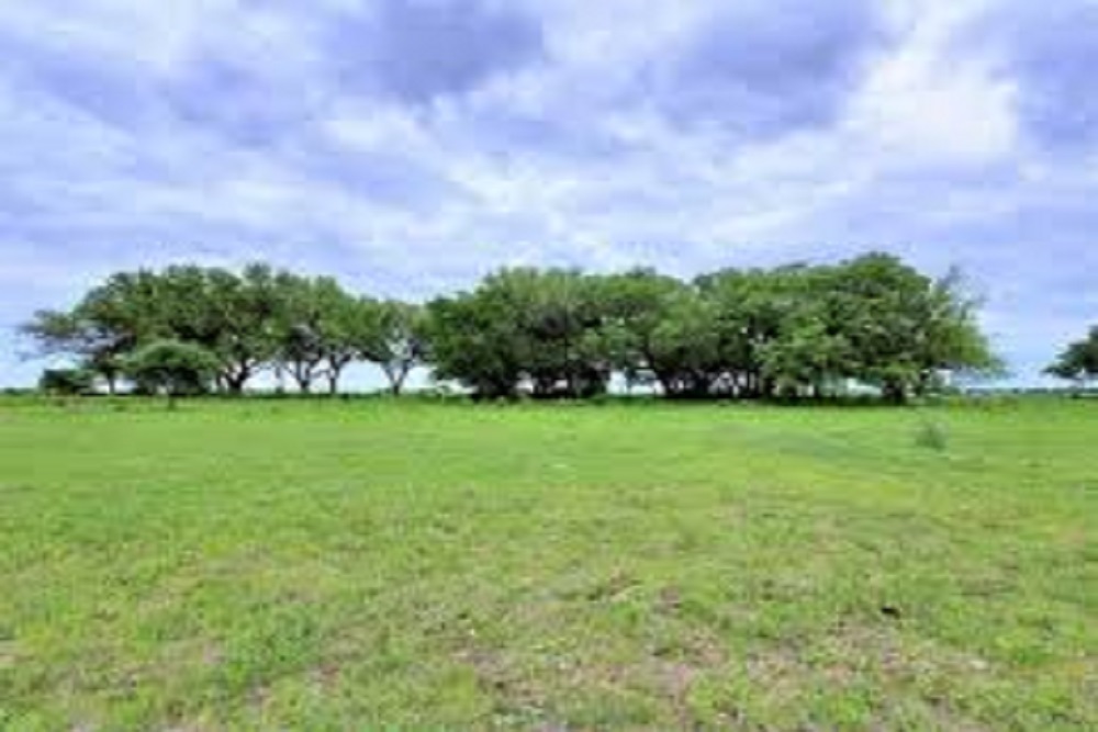 COUNTY OF ONSLOW: Commissioners Gave Approval For Purchase of a 12-acre Parcel That Could Help Expand the Jacksonville High School site