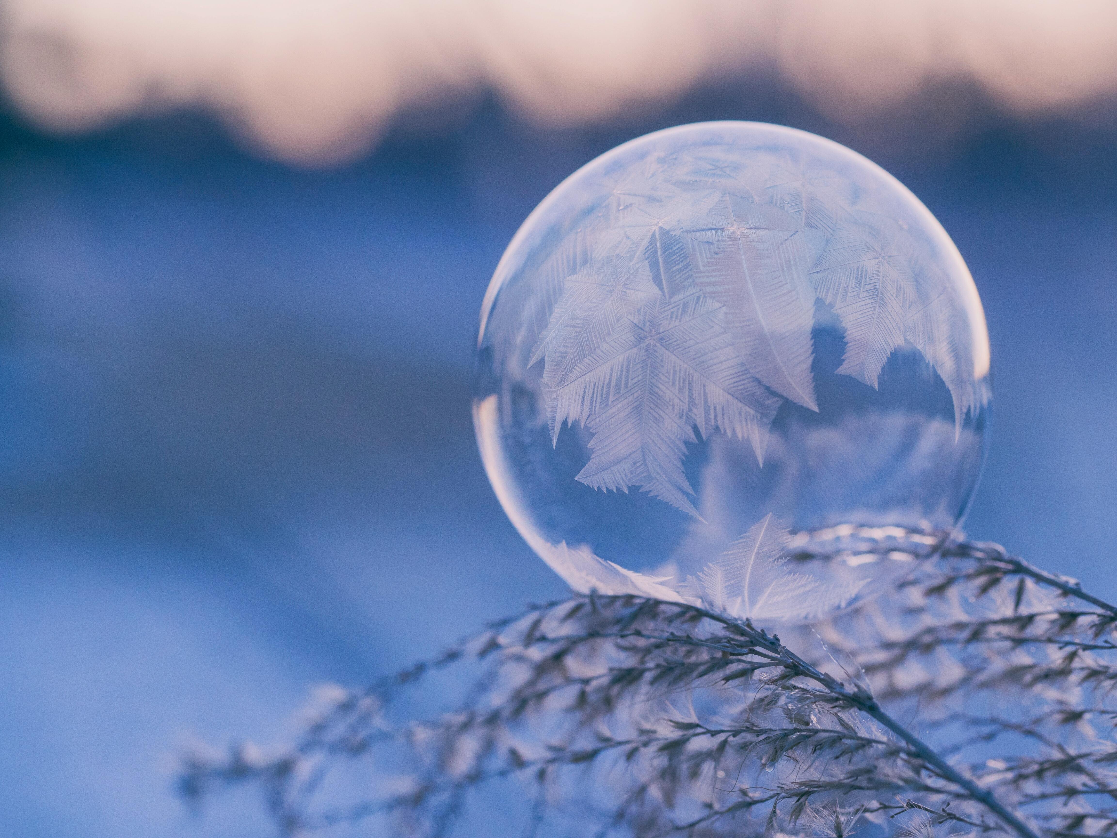 Botanical Casting: Winter on January 21, 2023