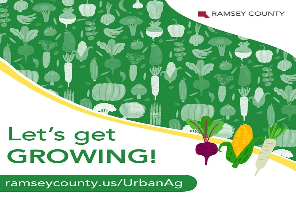 Let’s Get Growing Let’s Get Growing