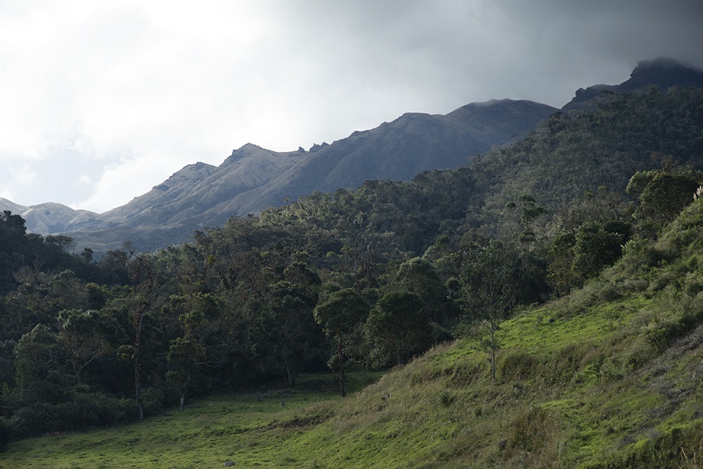 Birds’ eye size reflects habitat and diet, may predict sensitivity to environmental change