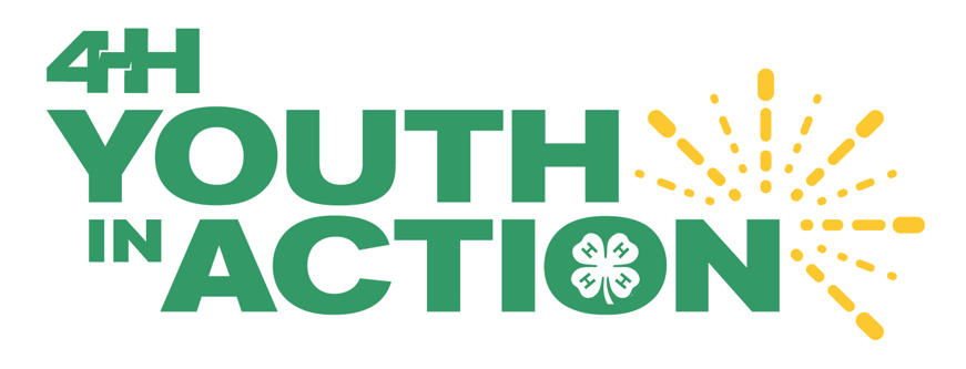 Youth in Action Info Session for 2023 Applicants! Youth in Action Info Session for 2023 Applicants!
