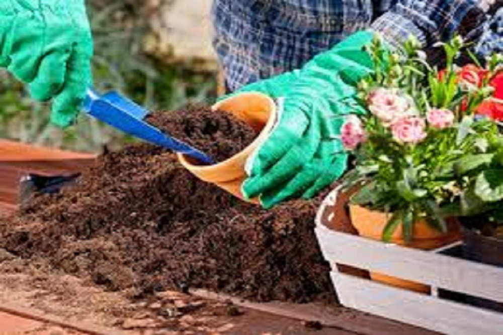 IREDELL COUNTY HEALTH DEPARTMENT: National Gardening Exercise Day on June 6th