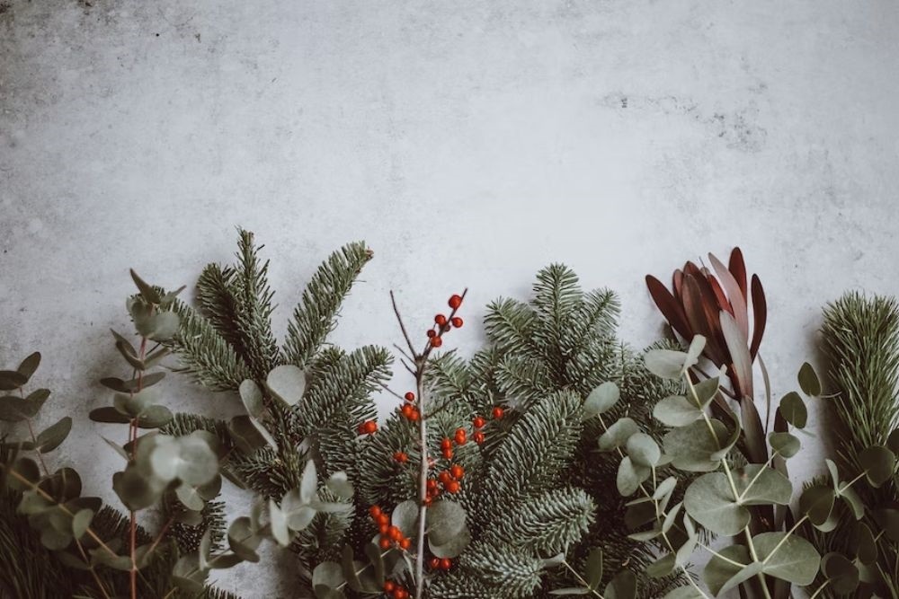 Christmas at Kew Gardens on Jan 8