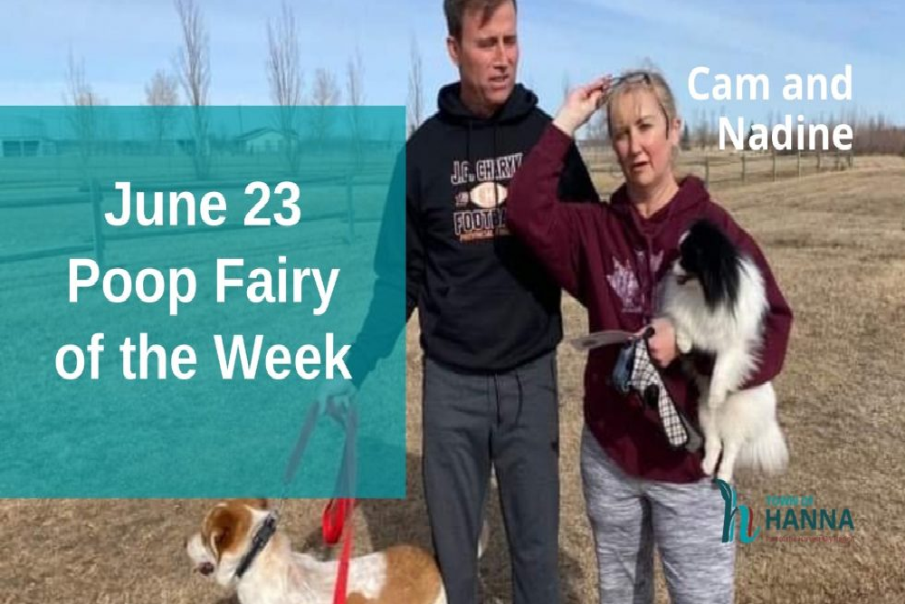 Cam and Nadine: Unofficial Poop Fairy