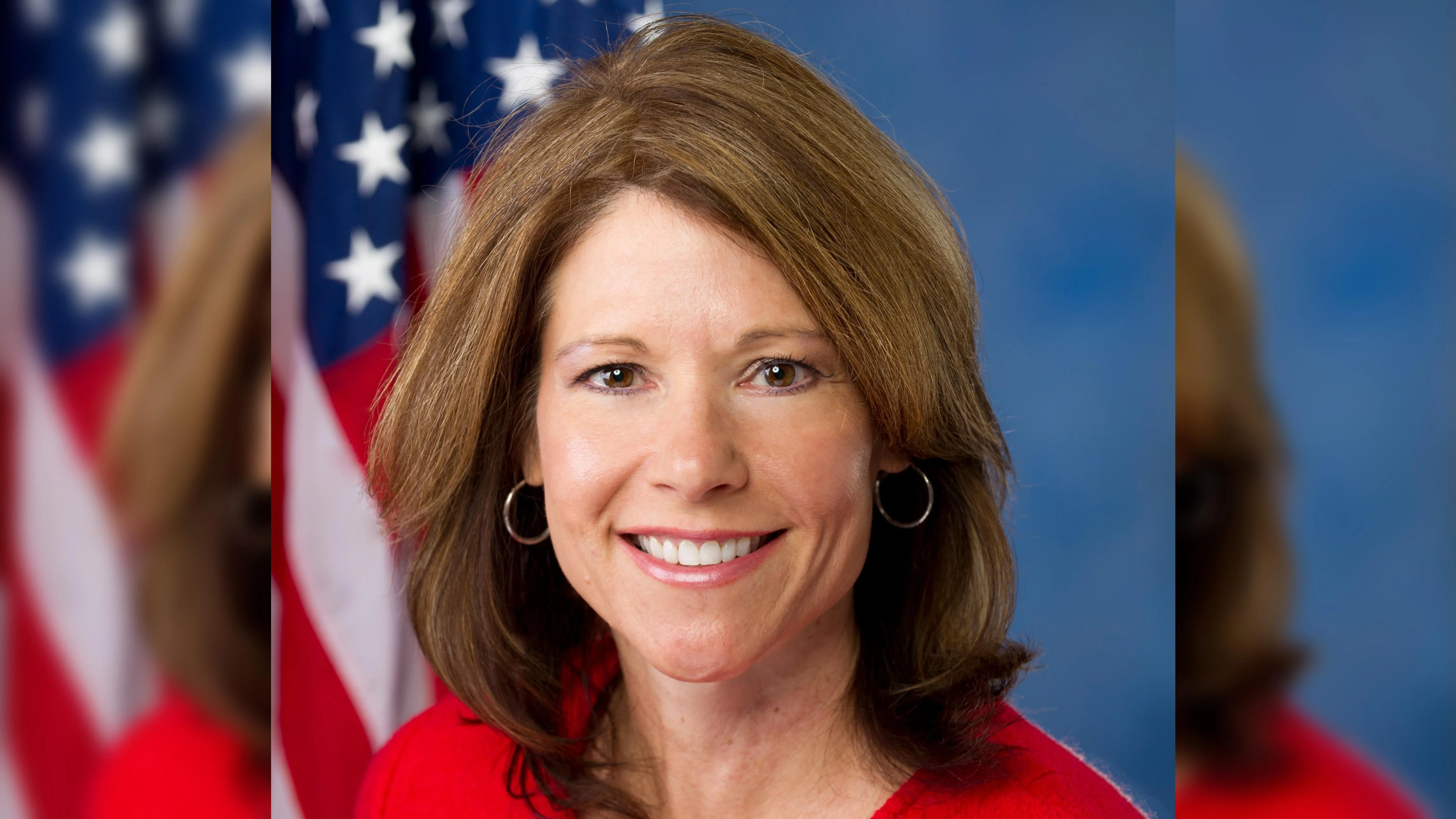Cheri Bustos Co-Chair of the House Democratic Steering Committee