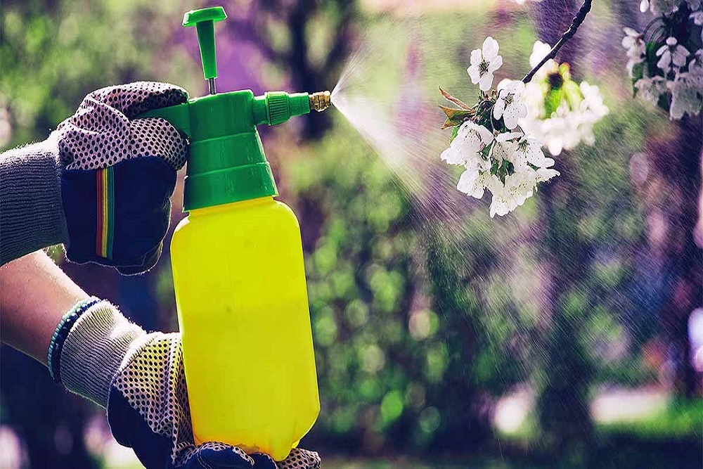 TOWN OF SPRING LAKE: Pesticide Collection Day May 31