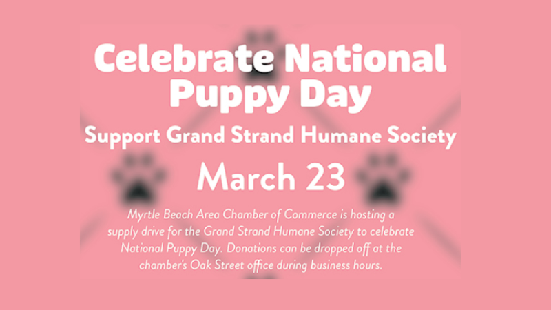 MBACC Celebrating National Puppy Day by Supporting Grand Strand Humane Society
