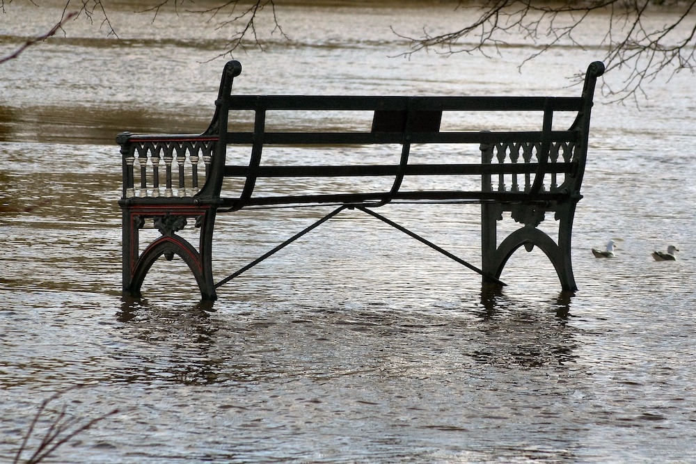 FIRN:Flooding causes sewage overflows, raises other pollution concerns for Chesapeake Bay