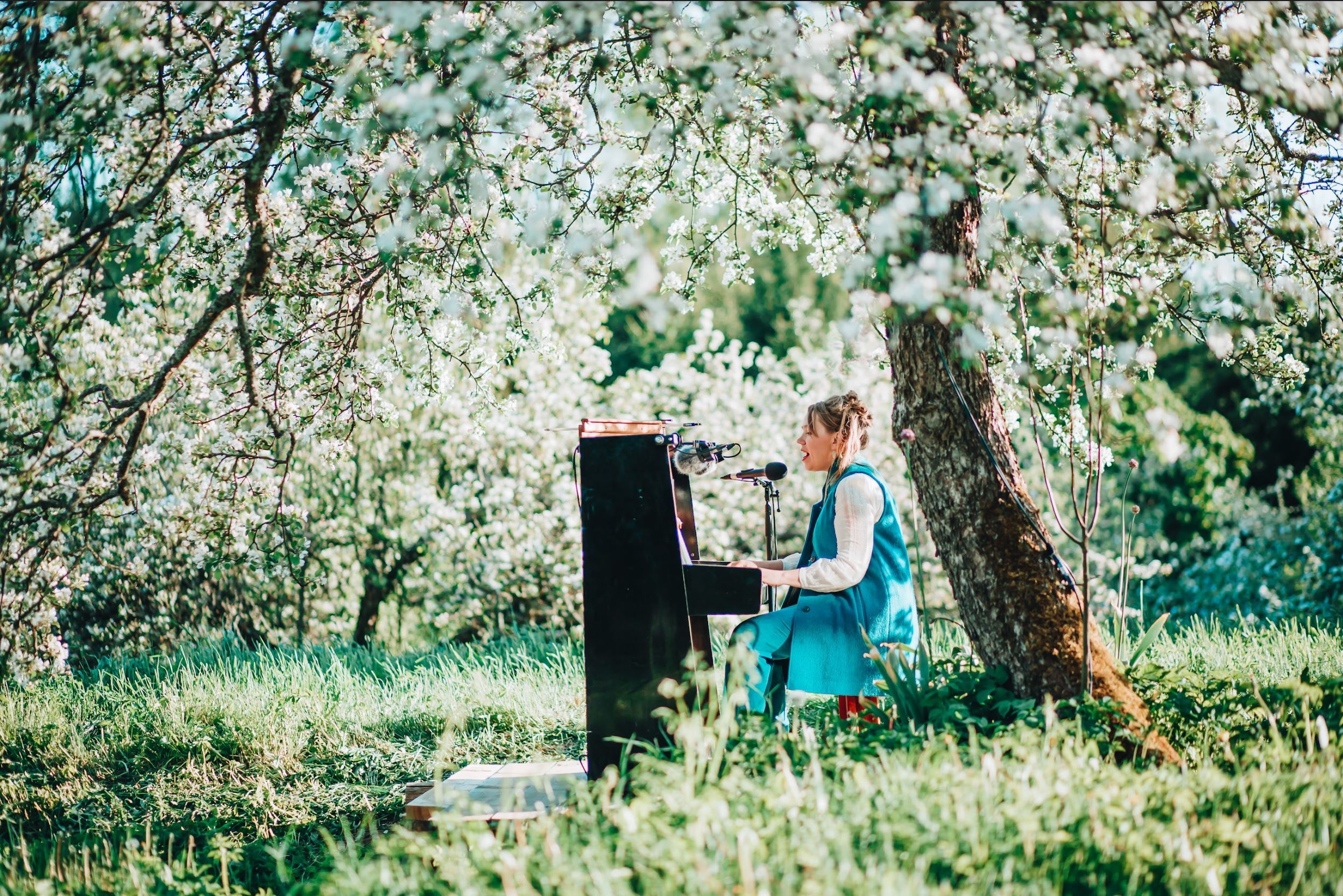 Gamecock Orientation – Spring Session B on January 5