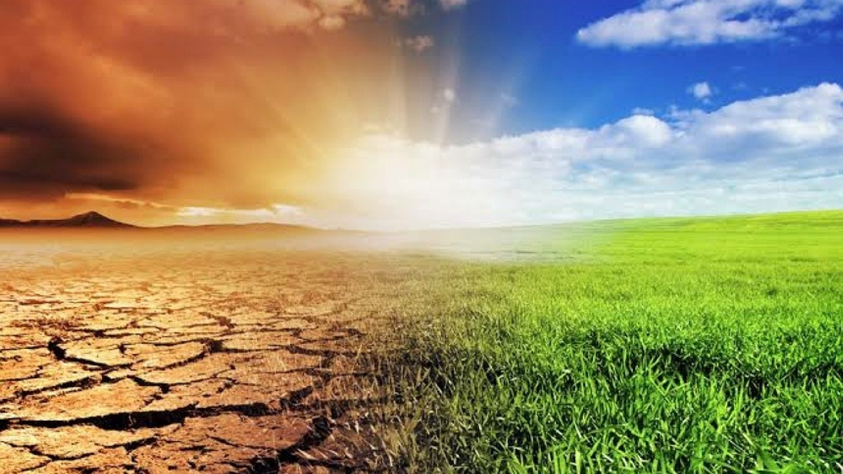 Wolf awards .5 million in grants toward addressing climate change: ‘A step in the right direction’ Wolf awards .5 million in grants toward addressing climate change: ‘A step in the right direction’