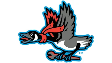 Beloit Sky Carp fall to Peoria Chiefs 3-1 in MiLB matchup featuring Drew Faurot Beloit Sky Carp fall to Peoria Chiefs 3-1 in MiLB matchup featuring Drew Faurot