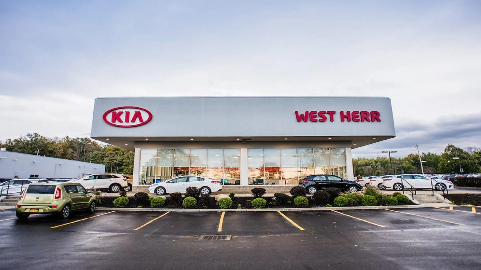 West Herr Kia to President Trump: ‘Customers were not willing to buy electric vehicles’