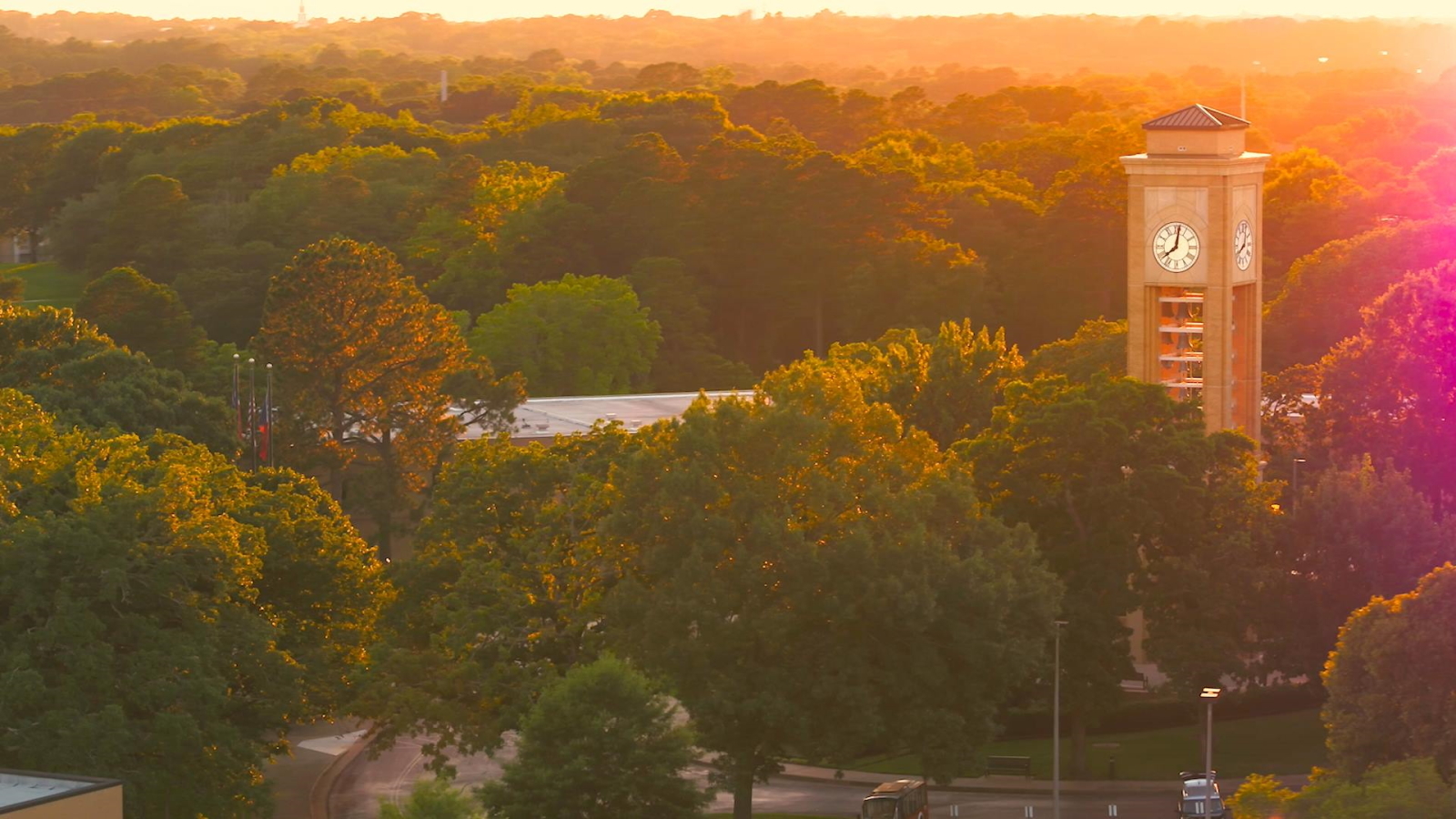 Diversity, Equity, and Inclusion (DEI) policies used to hire faculty and staff at UT Tyler to ‘help faculty members incorporate global perspectives and diverse voices’ Diversity, Equity, and Inclusion (DEI) policies used to hire faculty and staff at UT Tyler to ‘help faculty members incorporate global perspectives and diverse voices’