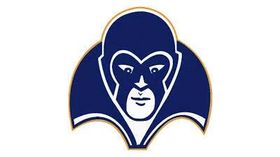 Phoebus Phantoms to visit Denbigh Patriots for varsity baseball matchup Phoebus Phantoms to visit Denbigh Patriots for varsity baseball matchup