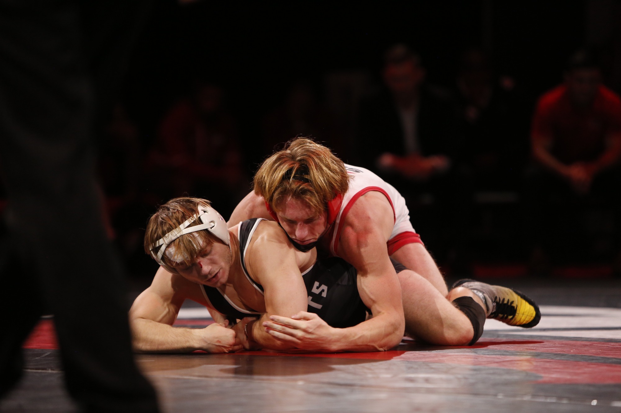 Eleven Ranked in The Open Mat NAIA Wrestling Rankings