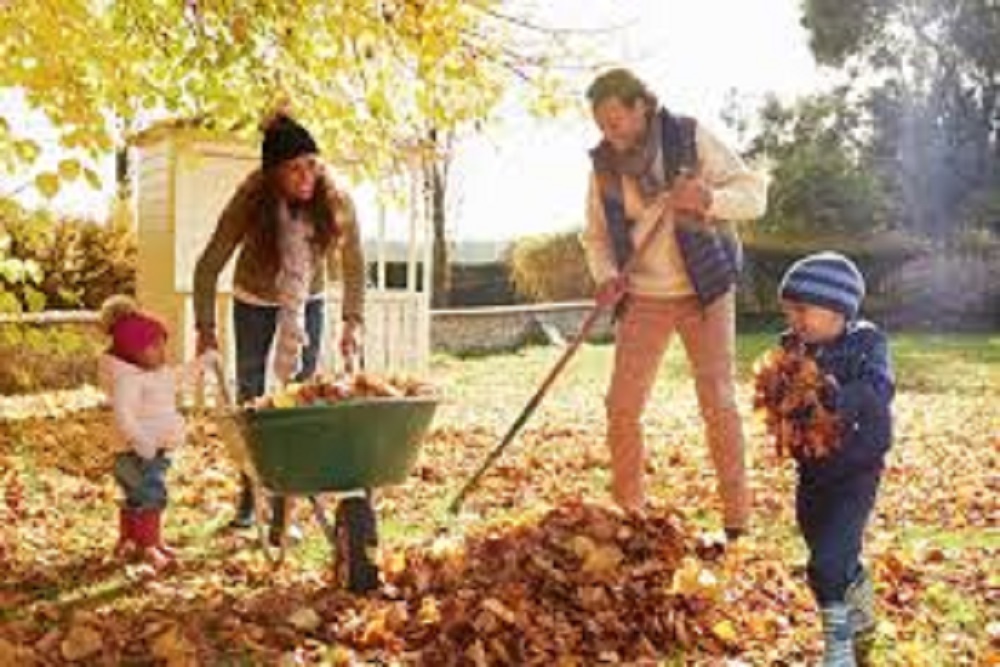 CITY OF WILMINGTON: Wilmington’s Annual Leaf Collection Program Begins Monday, October 14, 2019