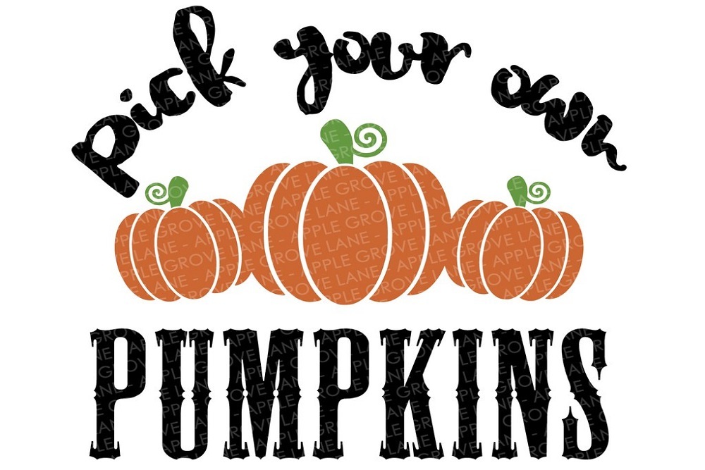 Lexington Chamber and Visitor Center: Pick Your Own Pumpkins