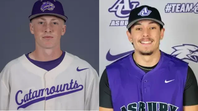 Which former South Asheville News area high school standouts will be in action in the week starting Monday, April 7?