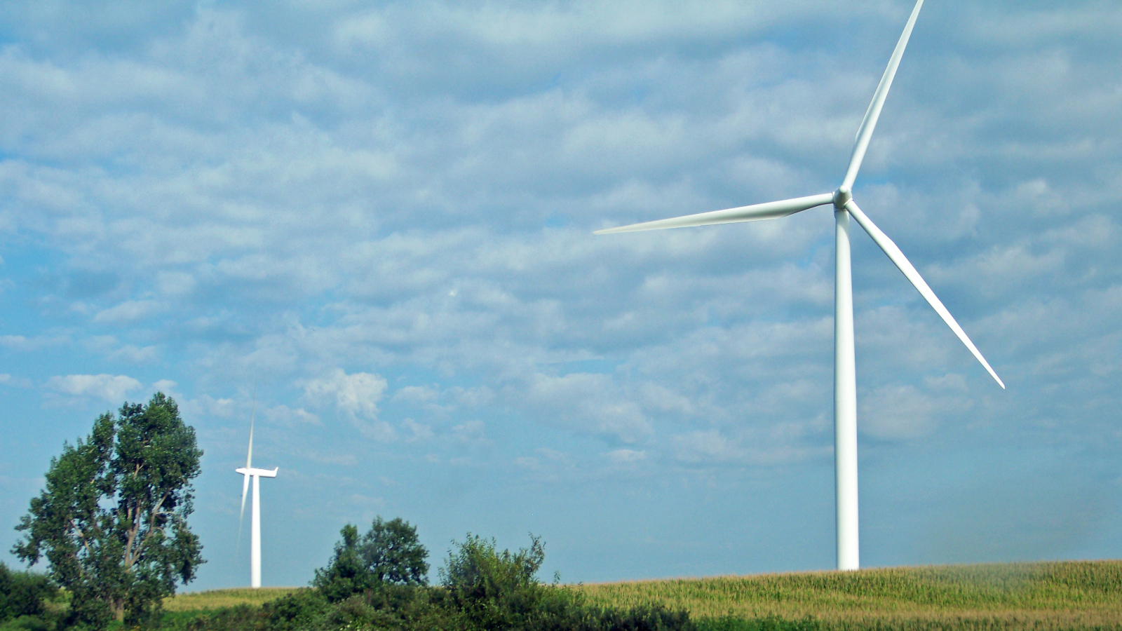 Energy expert criticizes Texas wind investment: ‘.5 billion of that investment was waste’