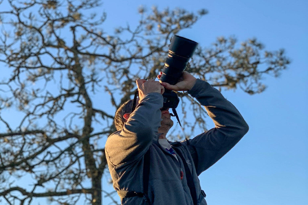 Birding in the Park on May 27, 2022