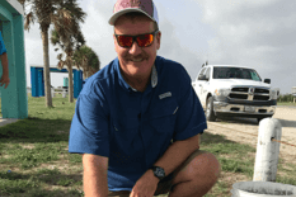 45 Endangered Sea Turtles Hatch On Texas Beach