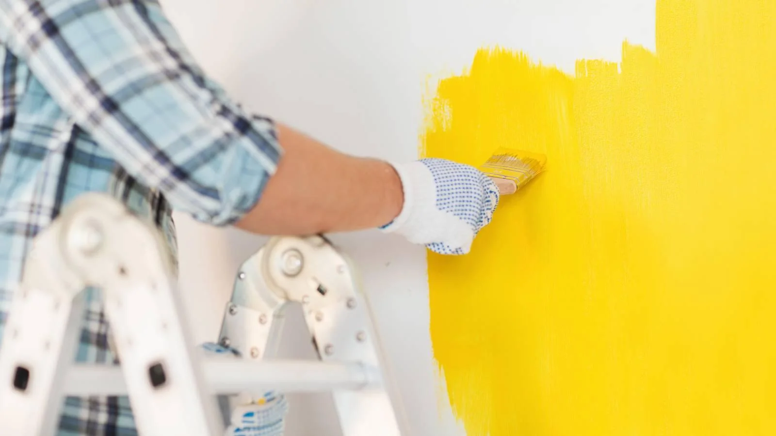 Participating Sevier County Ace Hardware stores offering sales on select paint products starting June 29 Participating Sevier County Ace Hardware stores offering sales on select paint products starting June 29