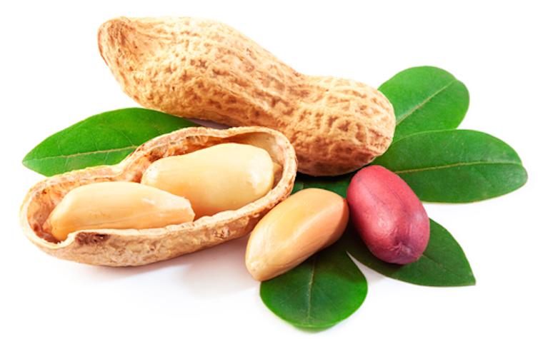 Brazilian peanut giant sets eyes on Latin America