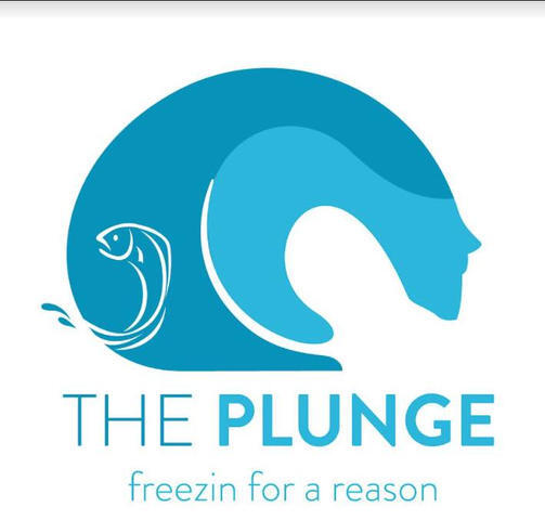 TOWN OF CANTON: Haywood Waterways’ 11th Annual Plunge; Benefit-t-t-ting Kids in the Creek & Environmental Education