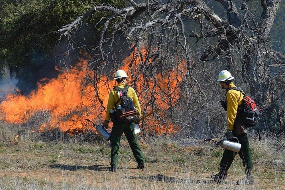 U.S. Forest Service conducting controlled burn near Baldwin