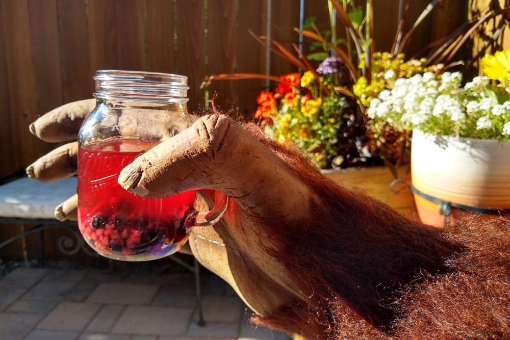 Drink Local First: Support Local Growers & Businesses, Enjoy Refreshing Beverages & Celebrate Plastic-Free July