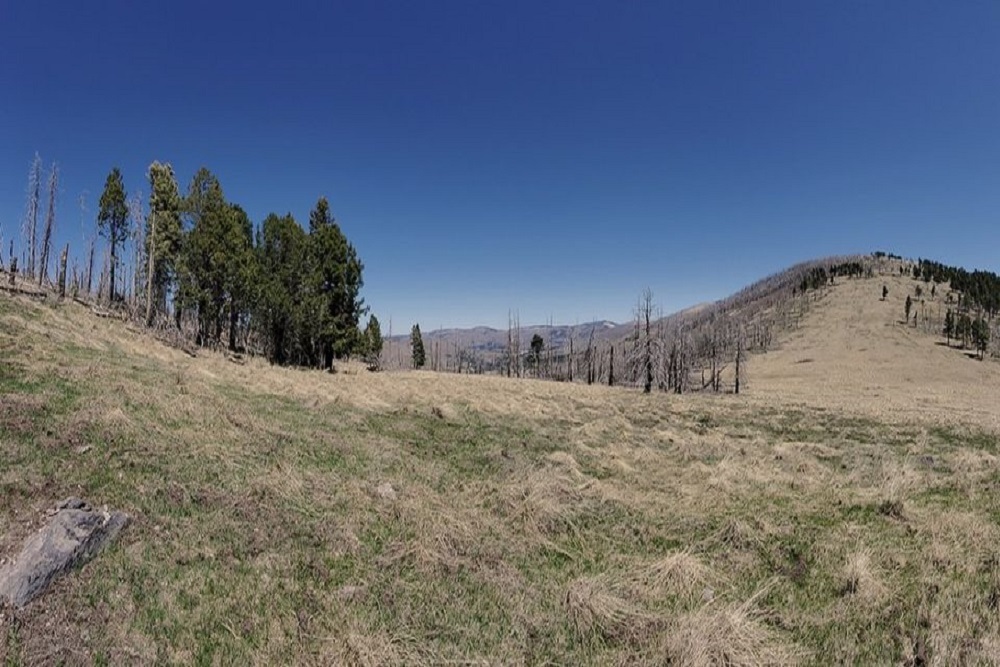 Cerro Grande