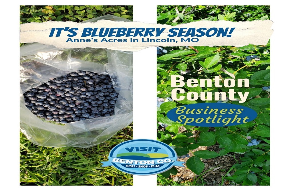 Benton County Missouri Tourism and Recreation – It’s Blueberry Season!