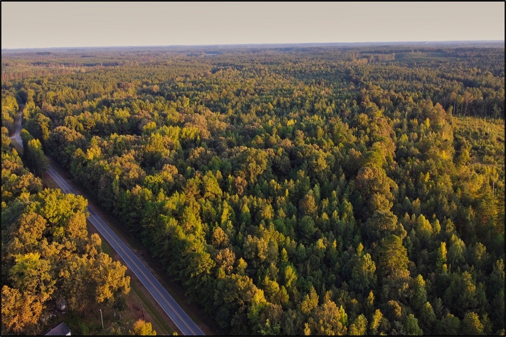 Hunting Property in Webster County, MS