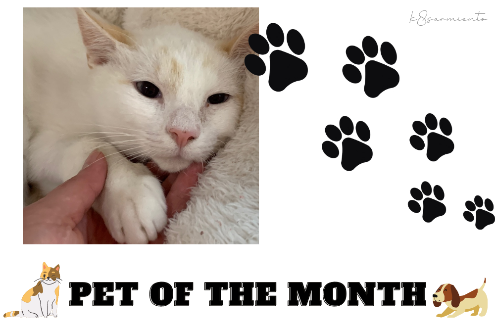 Pet of the Month: Butters