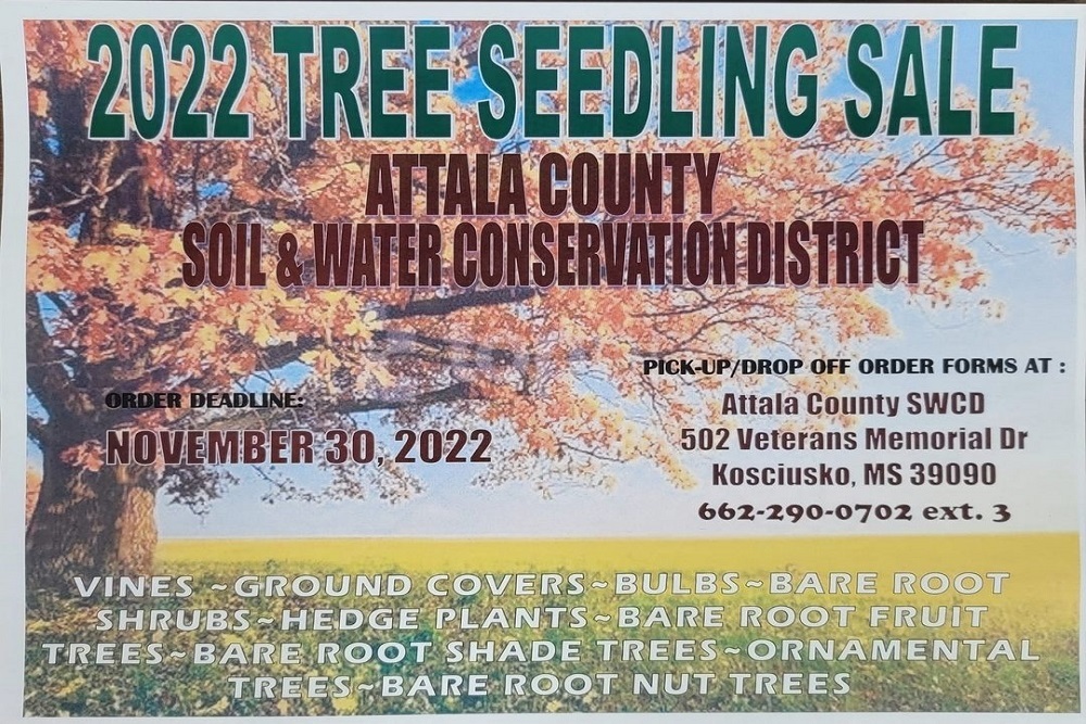 Attala County Soil & Water Conservation District – 2022 Tree Seedling Sale! Attala County Soil & Water Conservation District – 2022 Tree Seedling Sale!