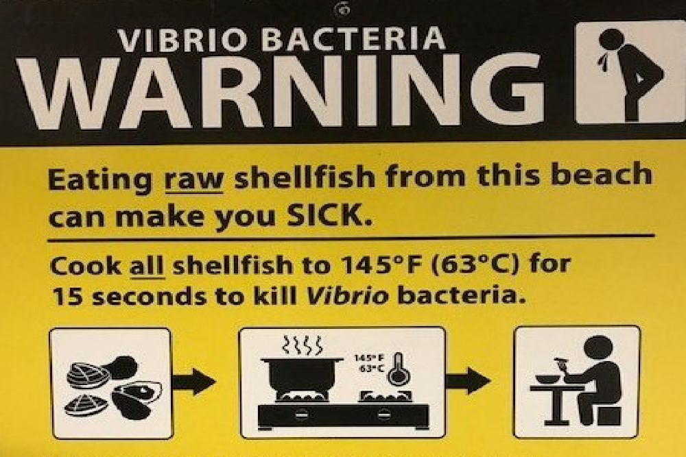 Three Cs of Safe Shellfish Harvesting