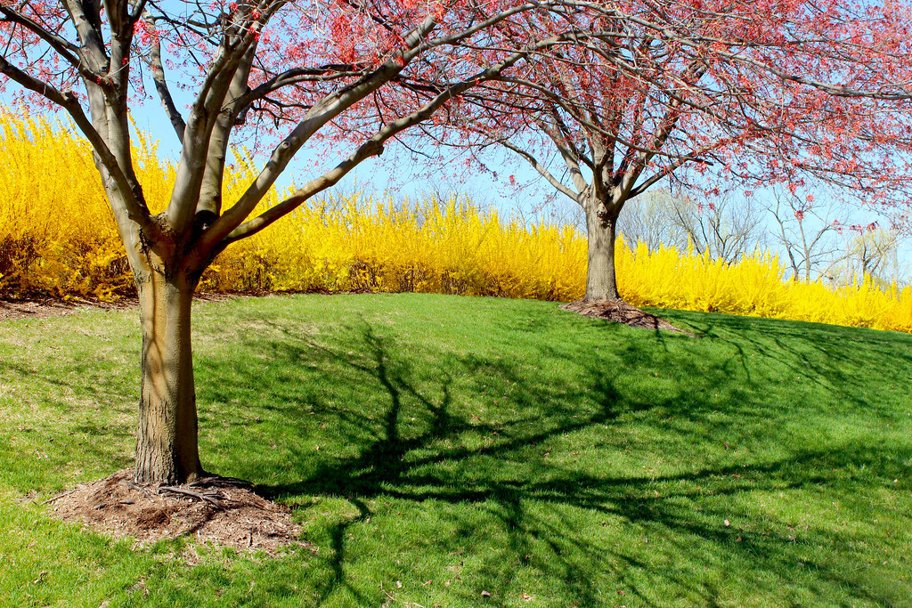 Right Senior Living Community Right Senior Living Community