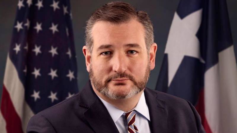 Cruz to ‘The View’ on legitimacy of 2020 WH race: ‘You don’t do it to Hillary Clinton’
