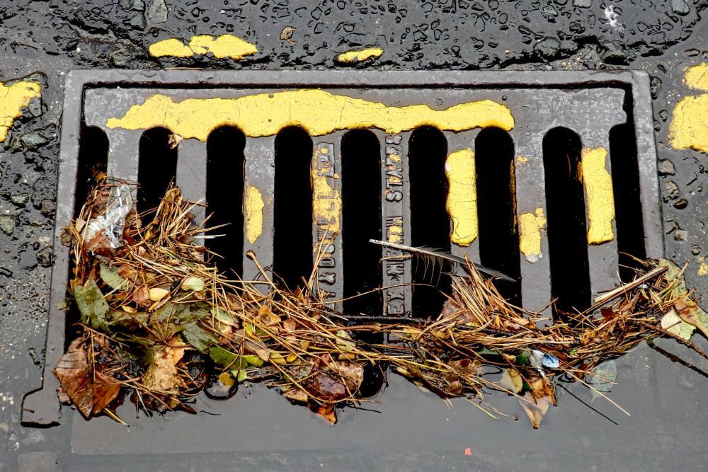 Adopt-A-Drain Aims to Make a Collective Impact for Puget Sound and Cleaner Waters Adopt-A-Drain Aims to Make a Collective Impact for Puget Sound and Cleaner Waters