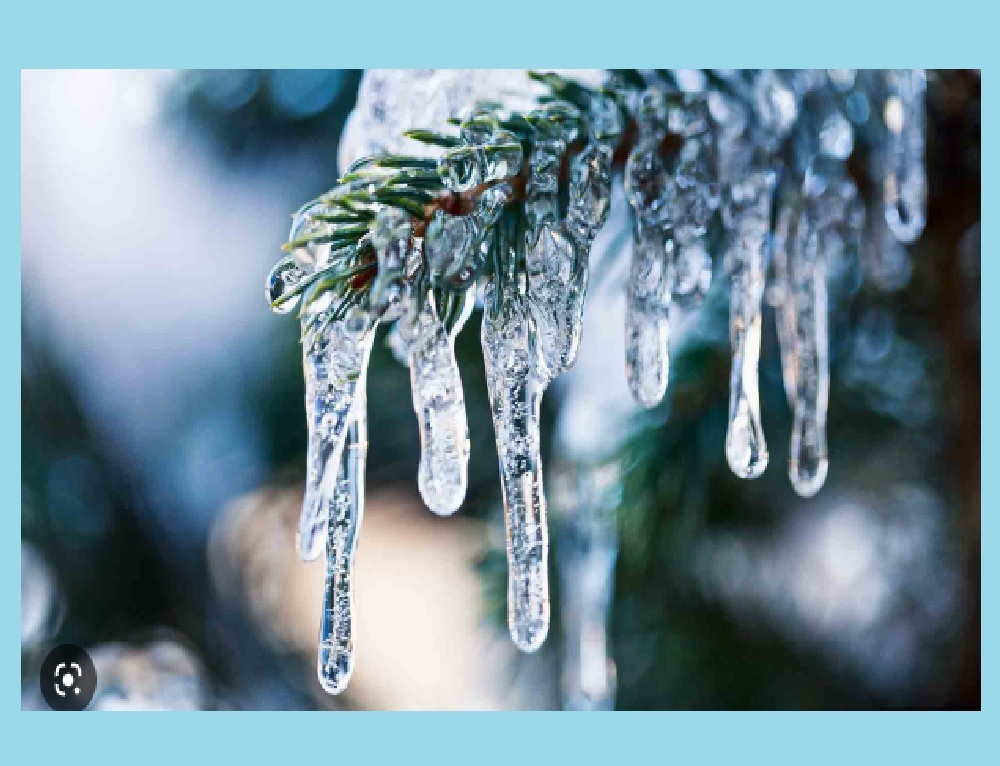 CITY OF BROOKLAND: Freeze Warning Alert
