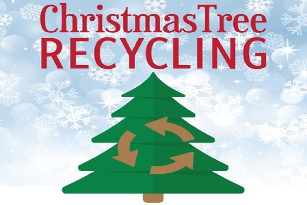 Beaufort County: Encourages Recycling of Live Christmas Trees and Other Items this Holiday Season