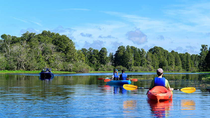 Need to Entertain Out-of-Towners?