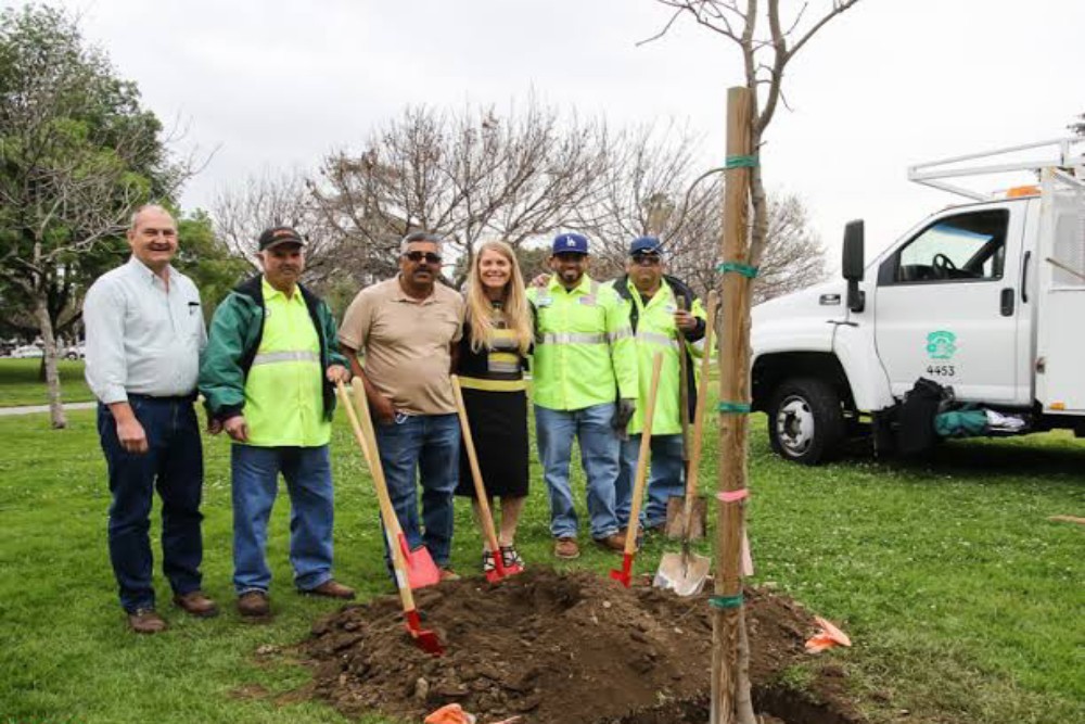 CITY OF BURBANK: City of Burbank Launches Plant for a Greener Burbank Initiative CITY OF BURBANK: City of Burbank Launches Plant for a Greener Burbank Initiative