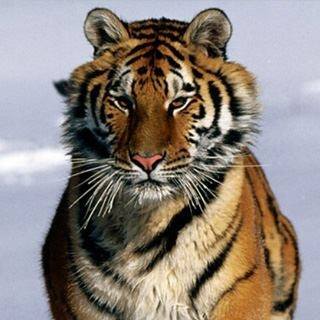 The East Helena Public Schools is Looking for a Business Manager/District Clerk