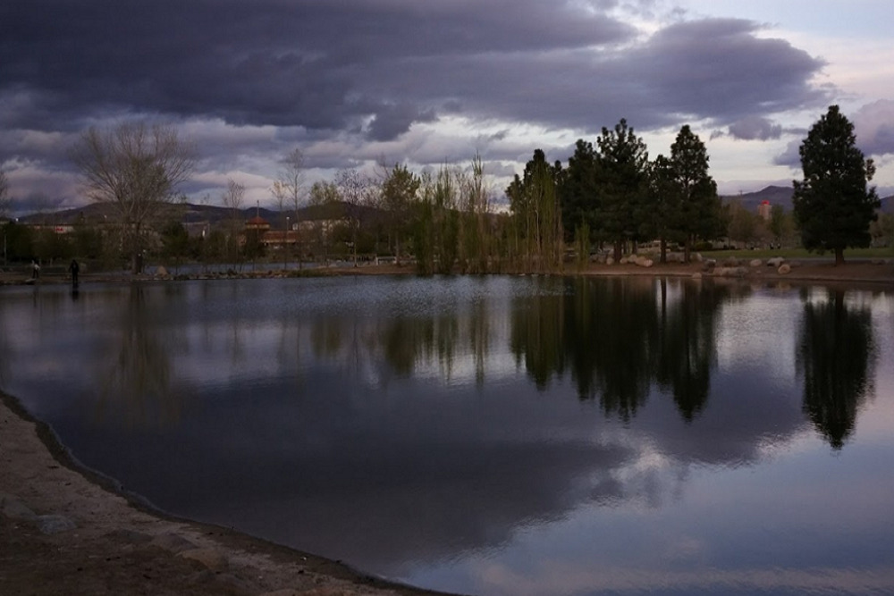 People and their pets advised to use caution around Paradise Park ponds People and their pets advised to use caution around Paradise Park ponds