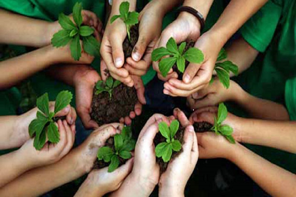 ENVIRONMENTAL EDUCATION! ENVIRONMENTAL EDUCATION!
