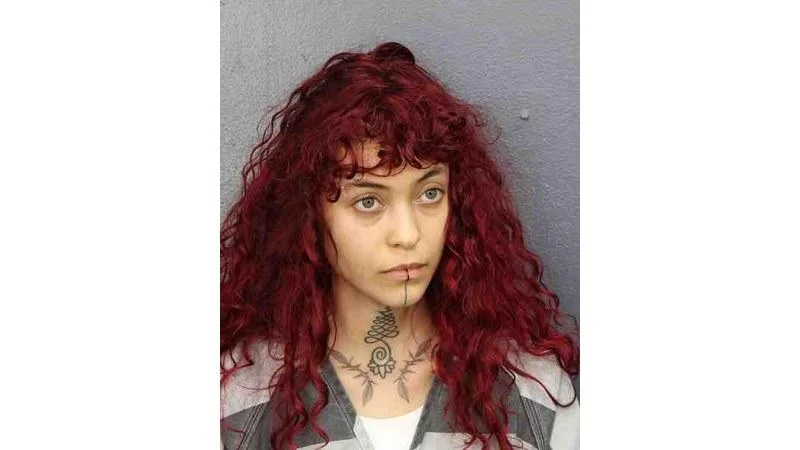 Authorities book 11 in Broward County on domestic charges June 19