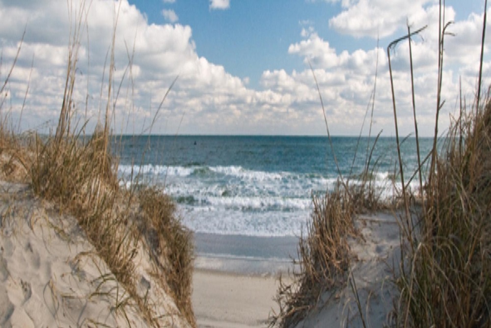 Town of Edisto Beach: Special Election Information for the Town of Edisto Beach