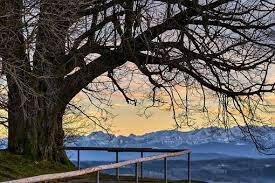 Bald Mountain Tours on Feb 22